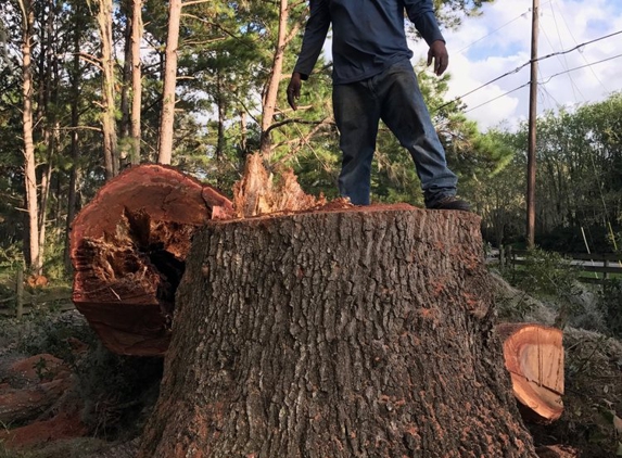 Mr. I.M. Log'n - Gainesville, FL