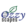 Ozzyscape gallery