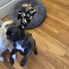 Mary Puppins gallery