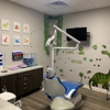 Palm Tree Dentistry - Spring Hill gallery