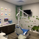 Palm Tree Dentistry - Spring Hill - Periodontists