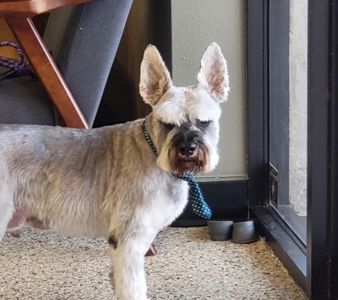 Well Groomed Pets - Mcallen, TX