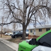 Tree Service Denver gallery