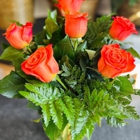 DBG Flowers