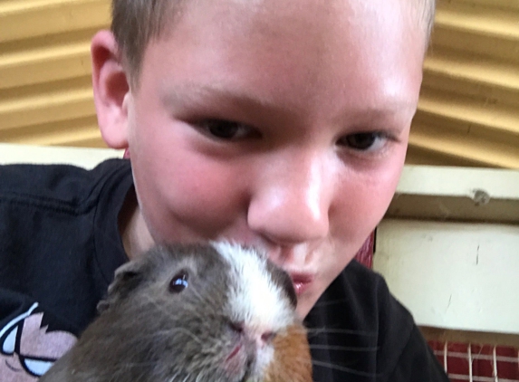 Zoomars Petting Zoo - San Juan Capistrano, CA