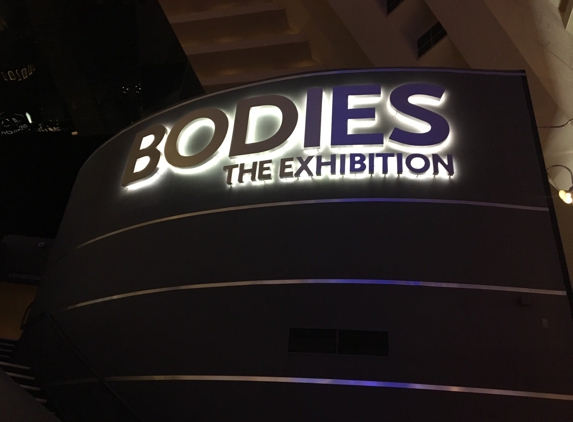 Bodies The Exhibition - Las Vegas, NV