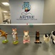 Aspire Veterinary Center