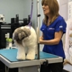 San Diego Grooming Academy