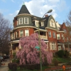 Wilson House Bed & Breakfast gallery