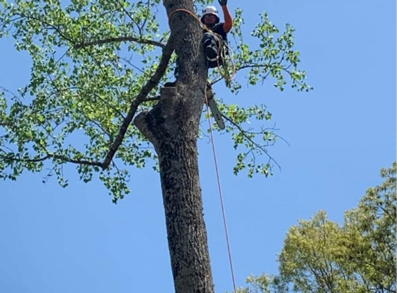 ArborPro Tree Service - Granite Falls, NC