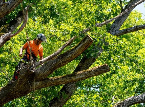 Bruce Helsel Tree Farm & Tree Removal - Cadillac, MI