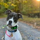Ridgeside K9 - Dog Training