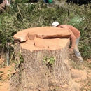 S & L Stump Grinding - Landscaping & Lawn Services