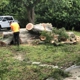 Tree Tech