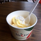 Nectar Frozen Yogurt Lounge