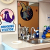 White Plains Pediatric Dentistry D D S gallery