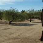 Desert Horizon Park