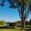 Sweet’s Tree Service gallery