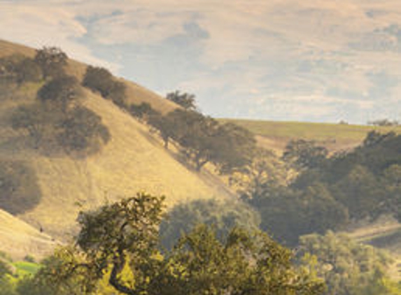 Rosewood Cordevalle - San Martin, CA