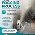 BestPro Mold Removal