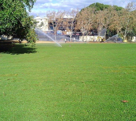 Lakeside Turf