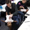 Healthforce CPR BLS Acls Pals Bergenfield, NJ gallery