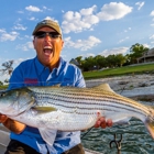 Striper Hunter Guide Service