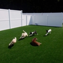 Island Pawplex Pet Retreat - Hostels