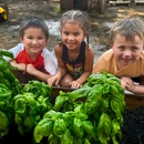 The Goddard School of Newark - Day Care Centers & Nurseries