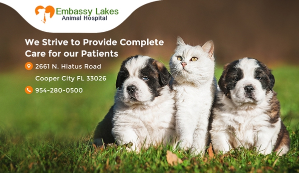 Embassy Lakes Animal Hospital - Hollywood, FL