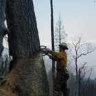 Liberty Lumberjack