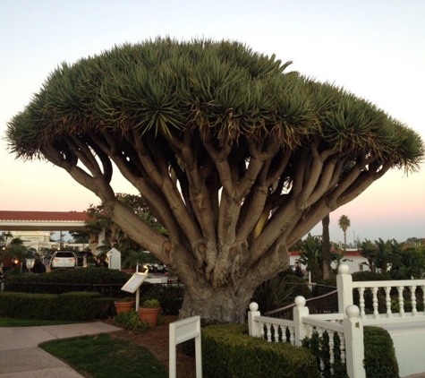 Beach Village at The Del, Curio Collection by Hilton - Coronado, CA