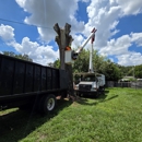 Mid-Florida Tree Service - Tree Service