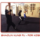 Dragon Arts Kung Fu And MMA - Self Defense Instruction & Equipment