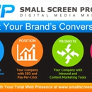 Small Screen Producer - Internet Marketing & Advertising