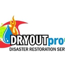 DRYOUTpro PLUS - Carpet & Rug Cleaners