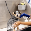 Sparkle - SanTan Village - Pet Grooming