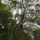 Newell Bros tree & landscaping Service - Tree Service