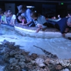 Aquarium of Boise gallery
