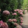 Moon Valley Nurseries gallery