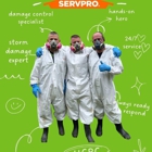 SERVPRO of Point Pleasant