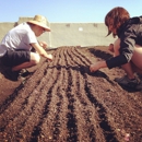 Brooklyn Grange - Farms