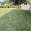 Quick Cut - Lawn Maintenance