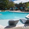 ProGuard Pool Management Inc gallery