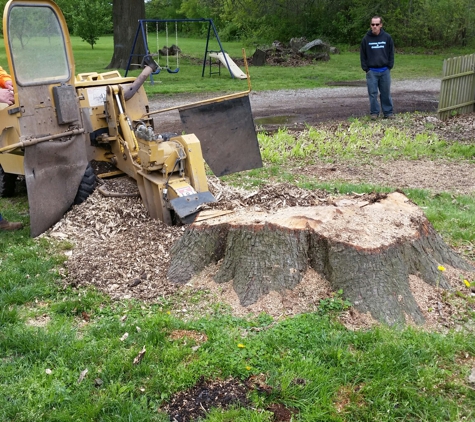 Dan Thomas Tree Works & Bucket Truck Ser - Brookfield, MO