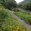 Lehigh Gap Nature Center gallery