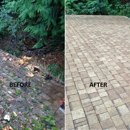 Moss Busters - Concrete Restoration, Sealing & Cleaning