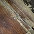 Attic Green