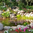 Pacific Outdoor Living - Landscape Designers & Consultants