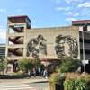 Juneau Public Library gallery